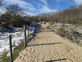 De Panne in de sneeuw (België)